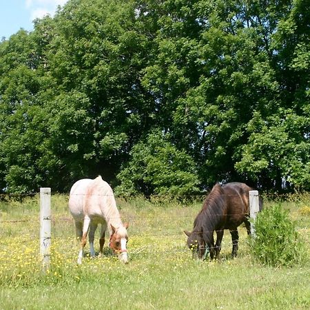 Ferienhaus Sommerbrise, Hof Zur Sonnenseite Fehmarn, 4 Sterne ภายนอก รูปภาพ